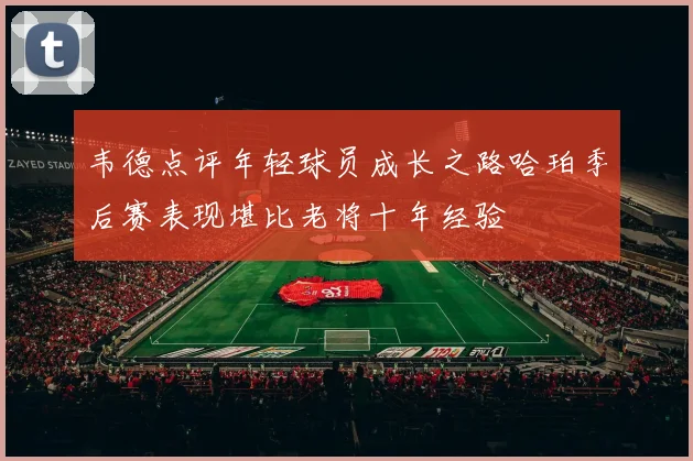 韦德点评年轻球员成长之路哈珀季后赛表现堪比老将十年经验