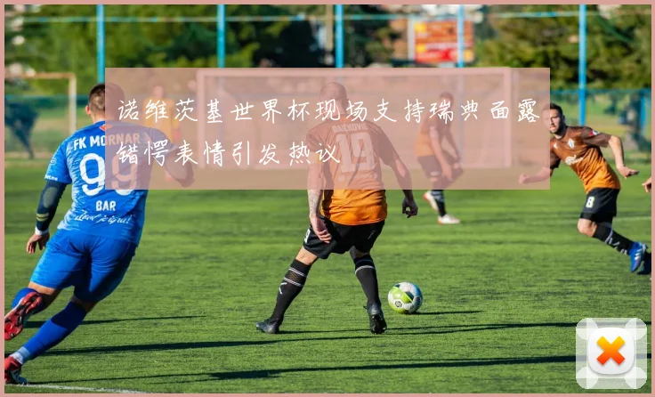 诺维茨基世界杯现场支持瑞典面露错愕表情引发热议